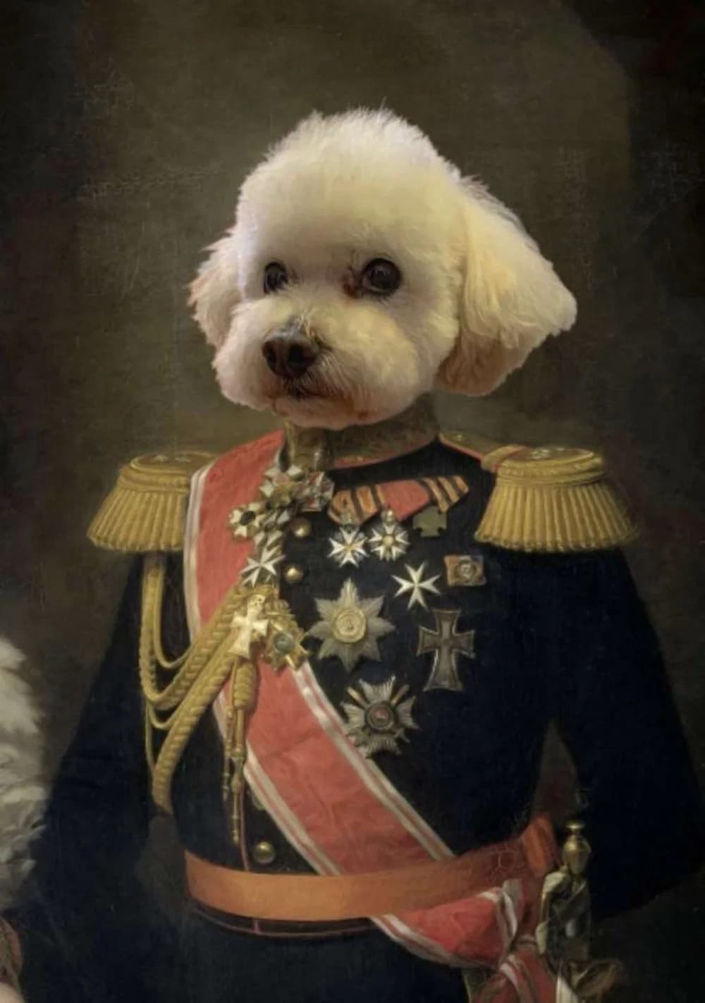 Lord Billingtons Dog Grooming